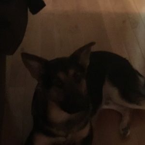 Meet your Posher, Kendra